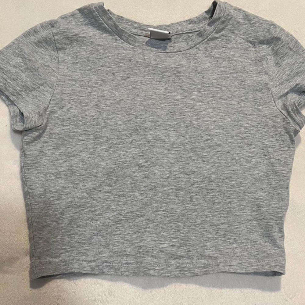 Aritzia tna grey cropped tee